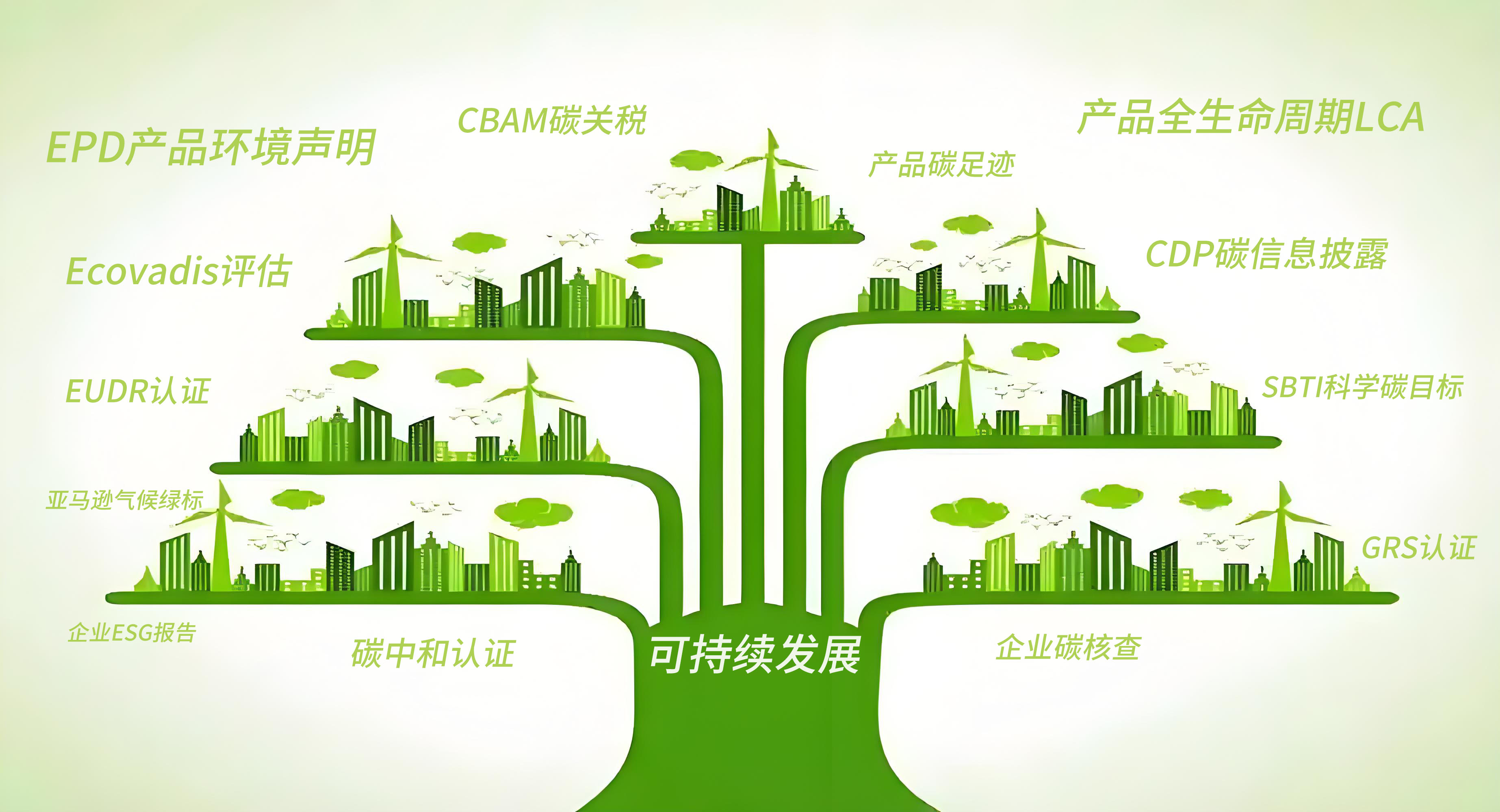 网站开发、推广，小程序、短视频运营